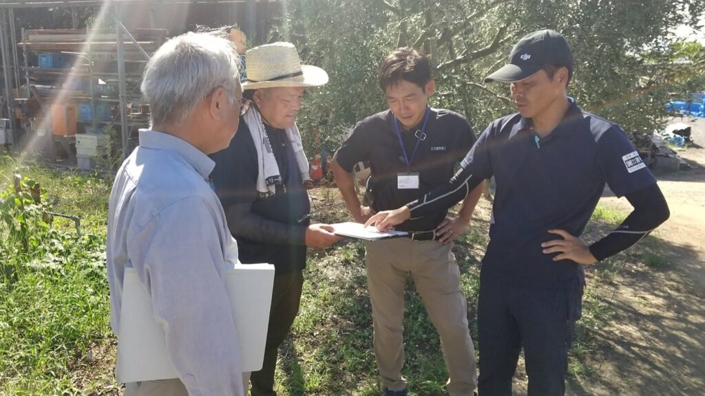 オリーブ園でドローン散布試験の方法を確認する関係者